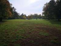 Hundeauslaufgebiet-Thomashöhe und Lessinghöhe-Bild