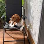 Ersteller:in Bianca Profilbild