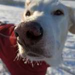 Ersteller:in Sabine Profilbild