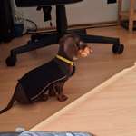 Ersteller:in Eva Profilbild