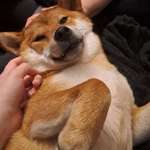 Ersteller:in Lena Profilbild