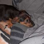 Ersteller:in Julia Profilbild