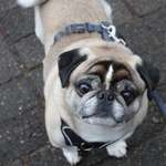 Ersteller:in Angie Profilbild