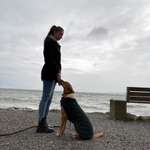 Ersteller:in Josephine Profilbild