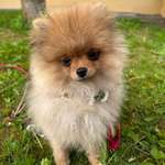 Ersteller:in DS Profilbild