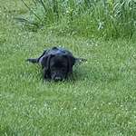 Ersteller:in Tatjana Profilbild