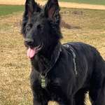 Ersteller:in Cassidy Profilbild