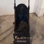 Dodopet Hundebuggy-Beitrag-Bild