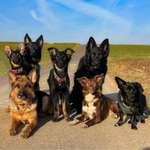 Ersteller:in alina Profilbild