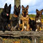 Ersteller:in alina Profilbild