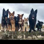 Ersteller:in alina Profilbild