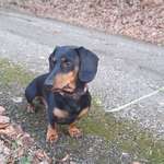 Ersteller:in Silvia Profilbild