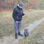 Ersteller:in Maik Profilbild