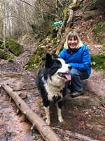 Hundeauslaufgebiet-Von Spalt durch die Massendorfer Schlucht-Bild