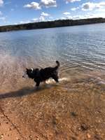 Hundeauslaufgebiet-Rothsee-Bild