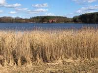 Hundeauslaufgebiet-Rothsee-Bild