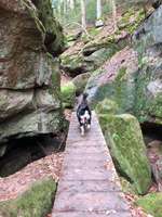 Hundeauslaufgebiet-Von Spalt durch die Massendorfer Schlucht-Bild