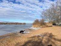 Hundeauslaufgebiet-Hundestrand und Hundeplatz am Altmühlsee bei Schlungenhof-Bild