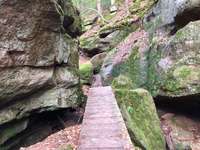 Hundeauslaufgebiet-Von Spalt durch die Massendorfer Schlucht-Bild