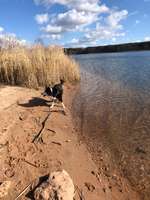 Hundeauslaufgebiet-Rothsee-Bild