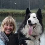 Ersteller:in Marie Profilbild