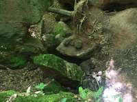 Hundeauslaufgebiet-Von Spalt durch die Massendorfer Schlucht-Bild