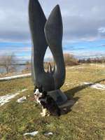 Hundeauslaufgebiet-Hundestrand und Hundeplatz am Altmühlsee bei Schlungenhof-Bild