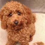 Ersteller:in Jennifer Profilbild