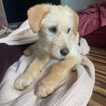 Ersteller:in Sarah Profilbild