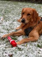 Stuttgart, wir kommen!-Beitrag-Bild