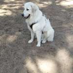 Ersteller:in Jörg Profilbild