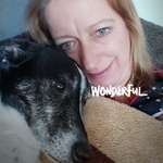 Ersteller:in Elli Profilbild