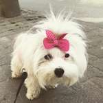 Ersteller:in Zehra Profilbild