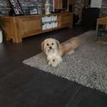 Ersteller:in Nadine Profilbild