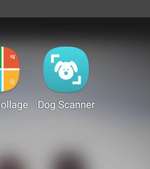 Dog Scanner - welche Rasse hat dein Mensch?-Beitrag-Bild