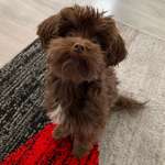 Ersteller:in F Profilbild