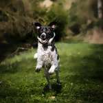 Ersteller:in Otis „The Angel“ ❤️ Profilbild