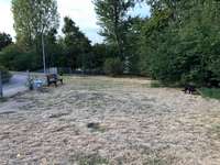 Hundeauslaufgebiet-Rheinpark Heerdt-Bild