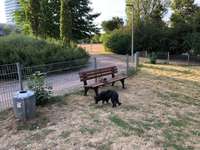 Hundeauslaufgebiet-Rheinpark Heerdt-Bild