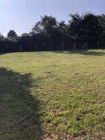 Hundeauslaufgebiet-Oldenburger Bruch-Bild