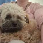 Ersteller:in Ina Profilbild