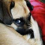 Ersteller:in Geli Profilbild