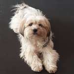 Ersteller:in Vera Profilbild