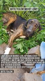 Suchmeldung-Leni-Bild