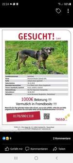 Suchmeldung-Leni-Bild