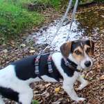 Ersteller:in Svenja Profilbild