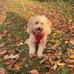 Ersteller:in Natalie Profilbild