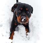 Ersteller:in Jana Profilbild