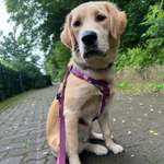 Ersteller:in Elisa Profilbild