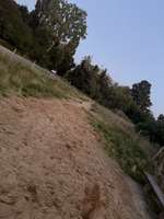 Hundeauslaufgebiet-Hundewiese Kelkheim Industriegebiet-Bild